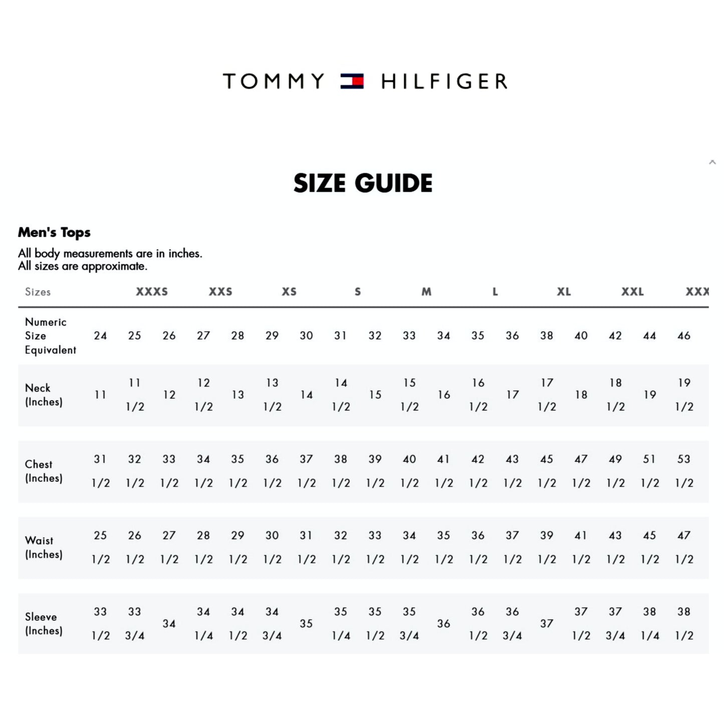 Tommy Hilfiger Men's Soft Cotton Short Sleeve Graphic Print Logo T-Shirt