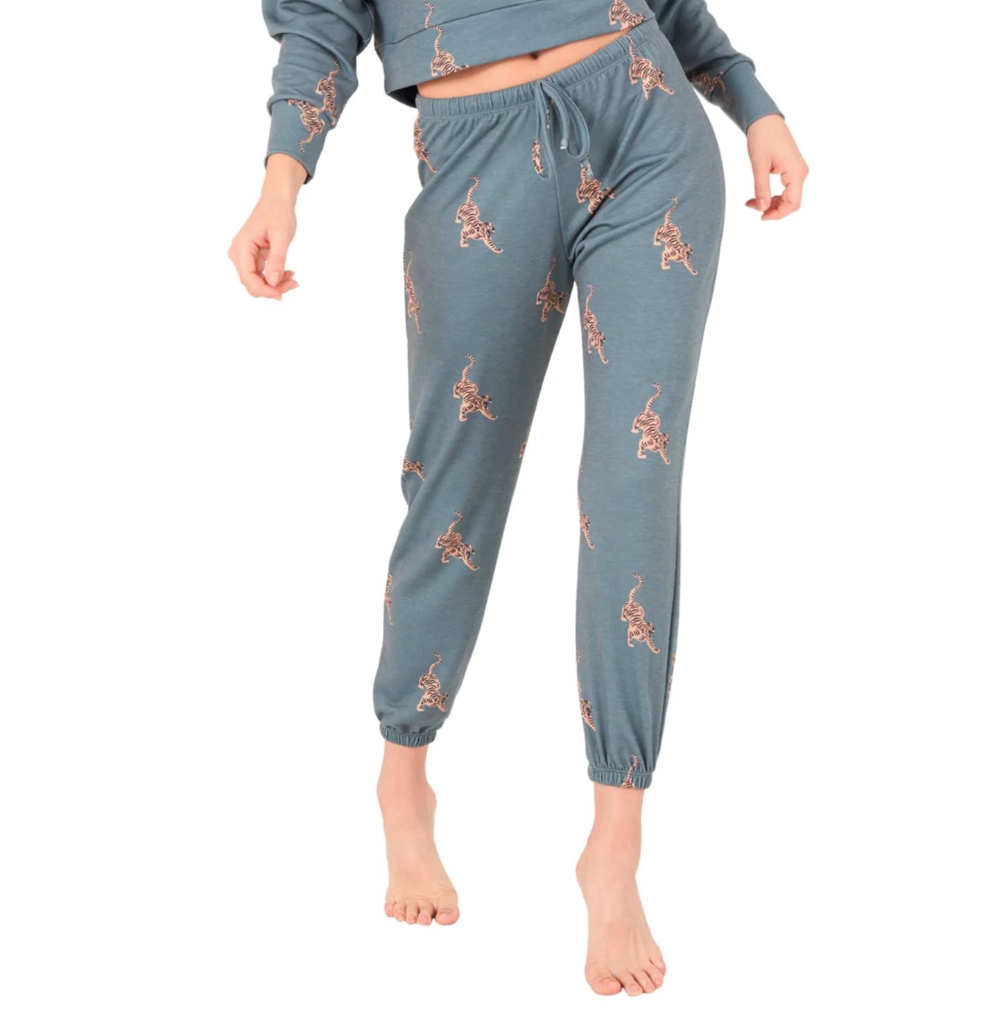 ONZIE Soft French Terry Crop Pale Cacti Tiger Hoodie and Joggers Collection
