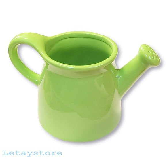 Rae Dunn 5 in Hydrate Ceramic Watering Can