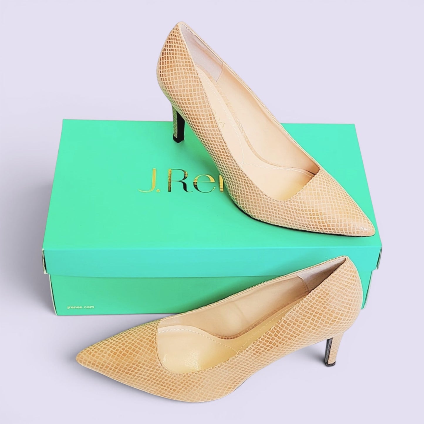 J.Renee Women's Snake Embossed Pointy Toe Classic Pumps Heels