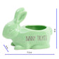 Rae Dunn Ceramic Glazed Finished Bunny Treats Planter