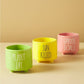 Rae Dunn 3-Pk Plant Life Ceramic Planters