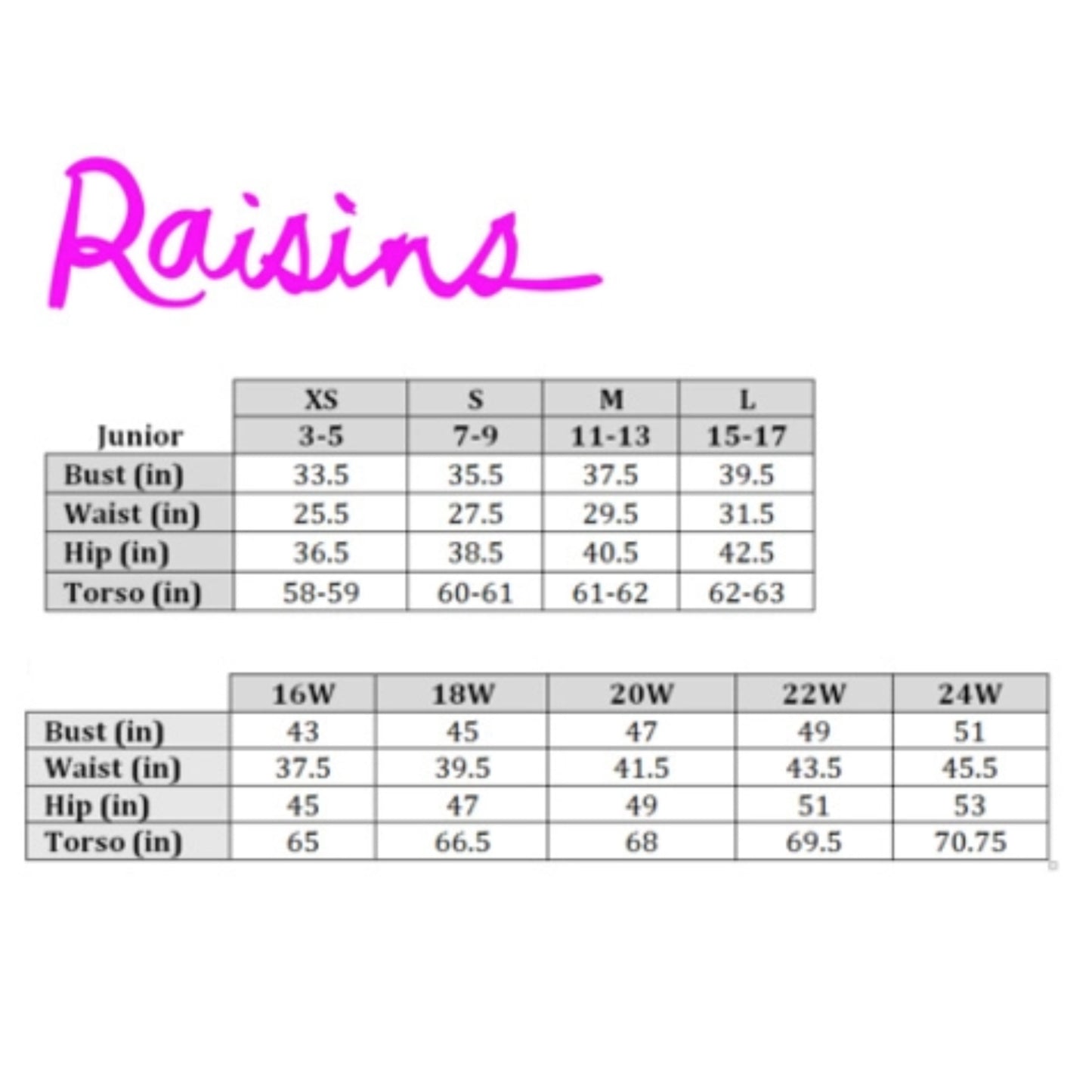Raisins Curve Women's Plus Calina Solids Costa Skirt Swim Bottom