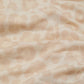 Splendid Women's Ultra Soft Leopard Print Cowl Neck Pullover Top Sweatshirt