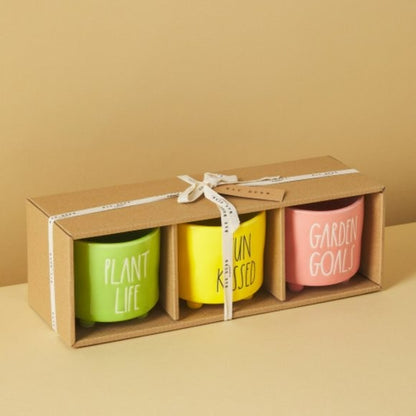 Rae Dunn 3-Pk Plant Life Ceramic Planters